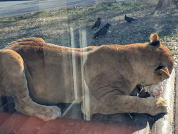 多摩動物公園に投稿された画像（2025/1/2）