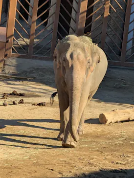 多摩動物公園に投稿された画像（2025/1/2）