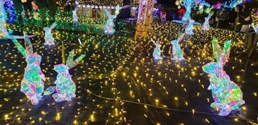 伊豆高原グランイルミに投稿された画像（2025/1/2）