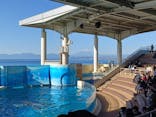 新江ノ島水族館に投稿された画像（2025/1/2）