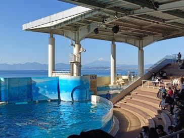 新江ノ島水族館に投稿された画像（2025/1/2）