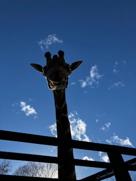 宇都宮動物園に投稿された画像（2025/1/2）