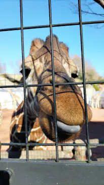 多摩動物公園に投稿された画像（2025/1/2）
