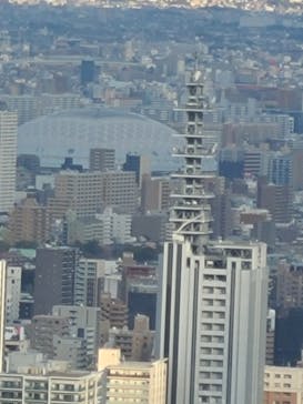 屋外展望台スカイプロムナードに投稿された画像（2025/1/2）