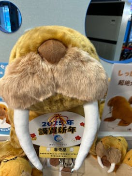 ゼロ距離水族館 伊勢シーパラダイスに投稿された画像（2025/1/2）