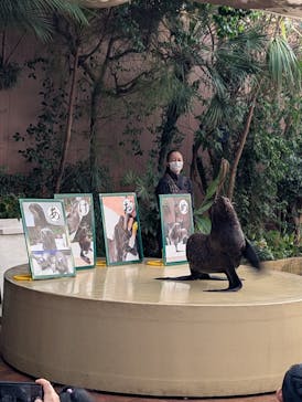 マクセル アクアパーク品川に投稿された画像（2025/1/2）