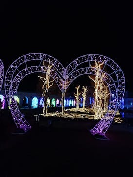 神戸イルミナージュに投稿された画像（2025/1/2）