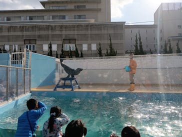 竹島水族館に投稿された画像（2025/1/2）