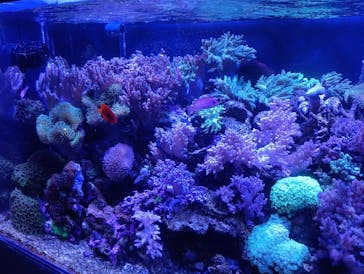 竹島水族館に投稿された画像（2025/1/2）