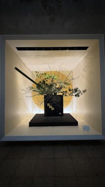 東京国立博物館に投稿された画像（2025/1/2）