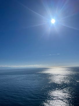 飛亭に投稿された画像（2025/1/2）