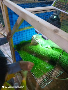 いきもの探検隊上尾に投稿された画像（2025/1/2）