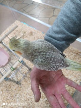 いきもの探検隊上尾に投稿された画像（2025/1/2）