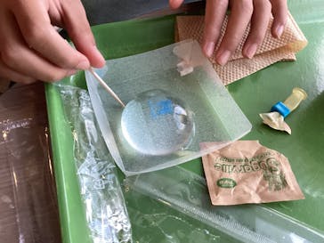 NIFREL（ニフレル）に投稿された画像（2025/1/2）