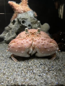 竹島水族館に投稿された画像（2025/1/2）