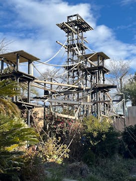 日立市かみね動物園に投稿された画像（2025/1/2）