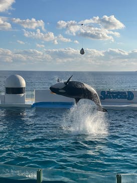 鴨川シーワールドに投稿された画像（2025/1/2）