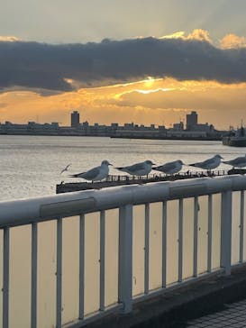 名古屋港水族館に投稿された画像（2025/1/2）