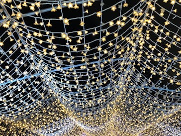 東京メガイルミに投稿された画像（2025/1/2）