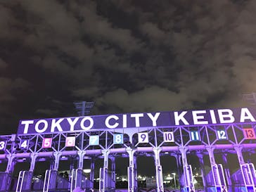 東京メガイルミに投稿された画像（2025/1/2）