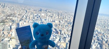 ハルカス300(展望台)に投稿された画像（2025/1/2）