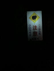 ミッドナイトツアー 奄美に投稿された画像（2025/1/2）