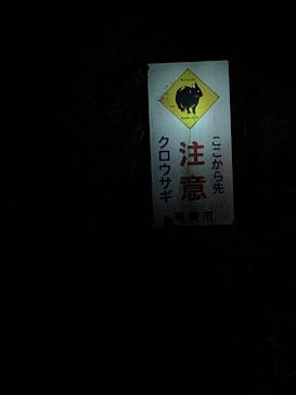 ミッドナイトツアー 奄美に投稿された画像（2025/1/2）