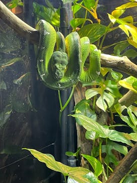 カワスイ 川崎⽔族館に投稿された画像（2025/1/2）