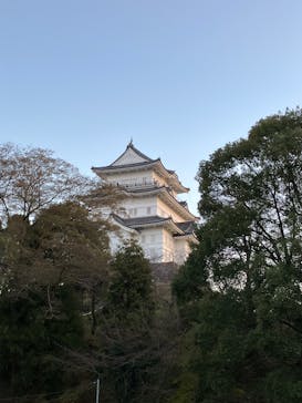 小田原城に投稿された画像（2025/1/2）