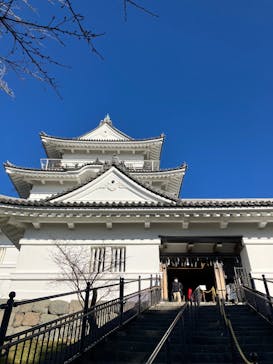 小田原城に投稿された画像（2025/1/2）