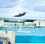 沖縄美ら海水族館に投稿された画像（2025/1/2）