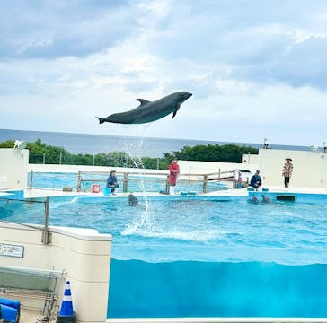 沖縄美ら海水族館に投稿された画像（2025/1/2）