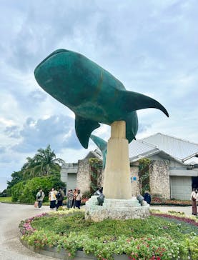沖縄美ら海水族館に投稿された画像（2025/1/2）