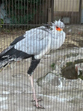 恩賜上野動物園に投稿された画像（2025/1/2）