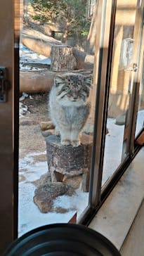 那須どうぶつ王国に投稿された画像（2025/1/2）