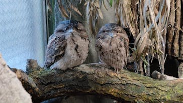 那須どうぶつ王国に投稿された画像（2025/1/2）