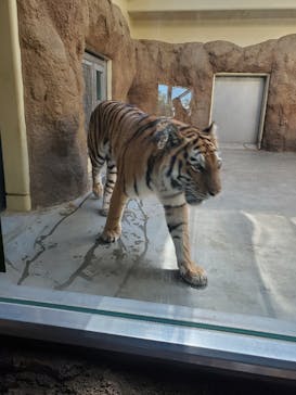 日立市かみね動物園に投稿された画像（2025/1/2）