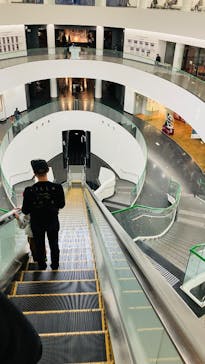 福井県立恐竜博物館に投稿された画像（2025/1/2）