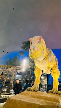 福井県立恐竜博物館に投稿された画像（2025/1/2）