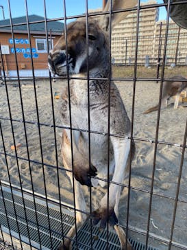 あらかわ遊園に投稿された画像（2025/1/2）