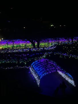 東武動物公園に投稿された画像（2025/1/2）