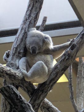 名古屋市東山動植物園に投稿された画像（2025/1/2）