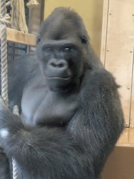 名古屋市東山動植物園に投稿された画像（2025/1/2）