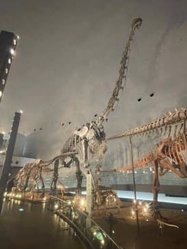 福井県立恐竜博物館に投稿された画像（2025/1/2）