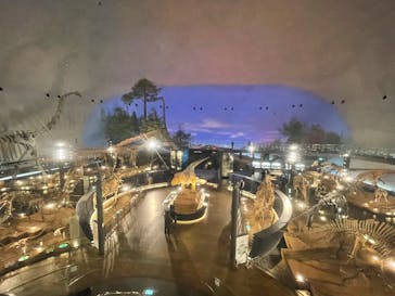 福井県立恐竜博物館に投稿された画像（2025/1/2）