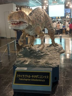福井県立恐竜博物館に投稿された画像（2025/1/2）