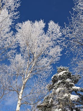 菅平高原スノーリゾートに投稿された画像（2025/1/2）