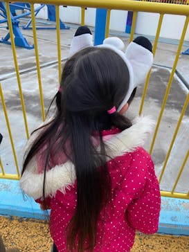 西武園ゆうえんちに投稿された画像（2025/1/2）