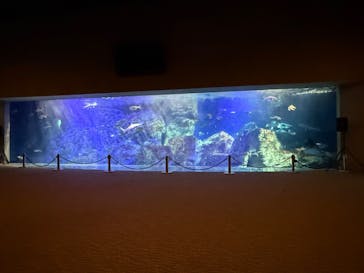 大分マリーンパレス水族館 「うみたまご」に投稿された画像（2025/1/2）