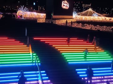 東京メガイルミに投稿された画像（2025/1/2）